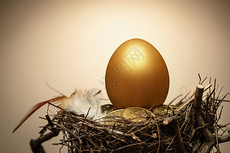手绘地球素材鸟窝里的金蛋和金币和羽毛背景