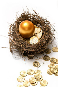 金币地球鸟窝里的金蛋和金币背景