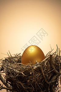 金色地球理财生长财富树杈上鸟窝里的金蛋背景