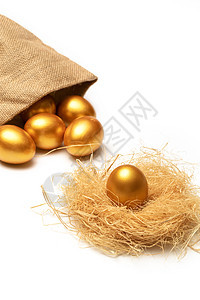 口袋里的金蛋和鸟巢里的金蛋图片