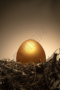 金色地球黄金银行业保护鸟窝里的金蛋背景