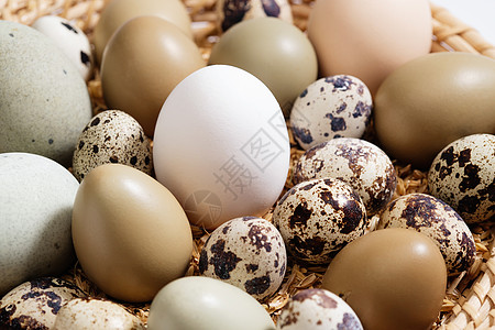 筐里的鸡蛋鸭蛋鹌鹑蛋图片