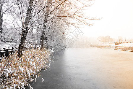 下雪后的湖边和山上风景图片