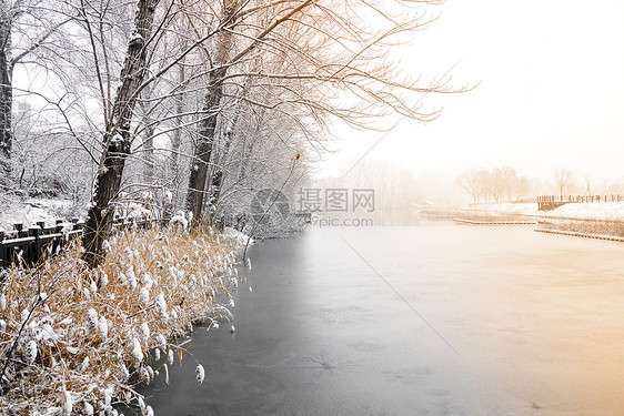 下雪后的湖边和山上风景图片