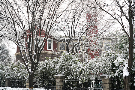 下雪后的湖边和山上风景高清图片