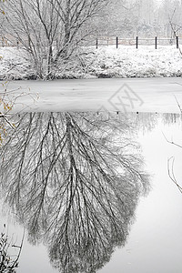 下雪后的湖边和山上风景图片