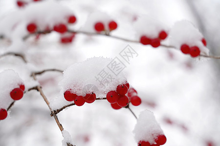 下雪后的湖边和山上风景高清图片