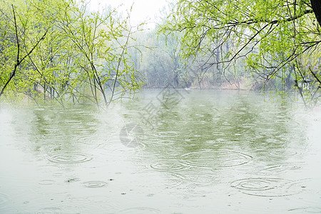 田园风景春雨滴在水面引起波纹背景