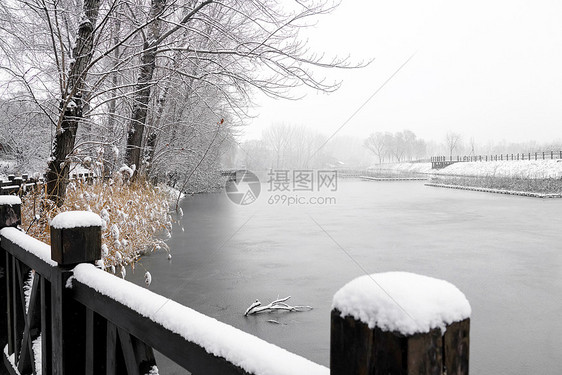 下雪后的湖边和山上风景图片