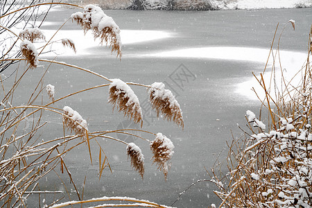 下雪后的湖边和山上风景图片