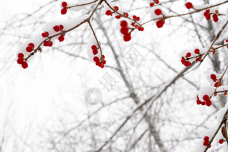 下雪后的湖边和山上风景高清图片