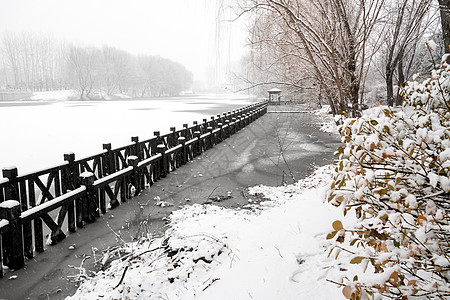 立冬二十四节气环境大雪后的景象图片
