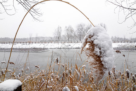 立冬二十四节气环境大雪后的景象高清图片