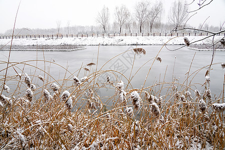 立冬二十四节气环境大雪后的景象图片