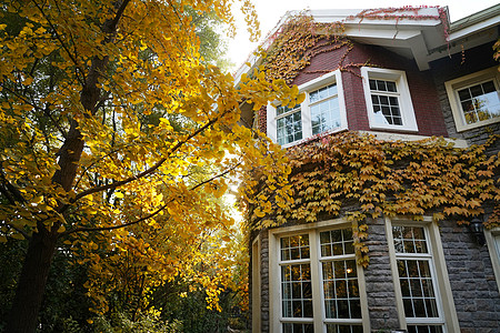 秋天的私家别墅图片