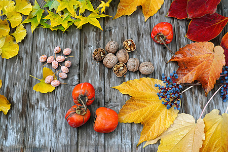 自然纹理仁秋天丰收的果实图片