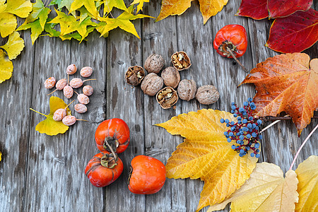 秋天丰收的果实图片