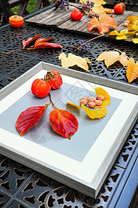清新树叶画框秋天户外的柿子和核桃背景