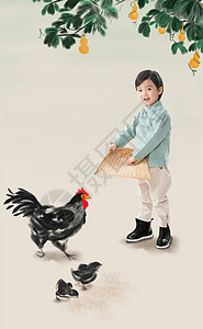 劳动卡通欢乐户外创造力小男孩拿着簸箕撒谷物喂鸡背景
