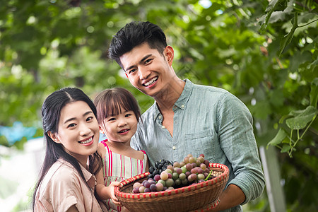 幸福夫妇在采摘蔬果图片