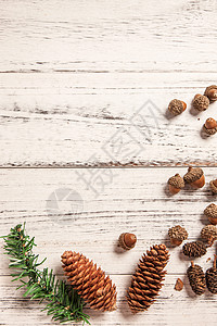 木板橡树果摄影圣诞节静物图片