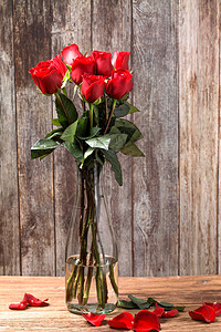 花朵摄影花卉玫瑰花摄影红玫瑰背景