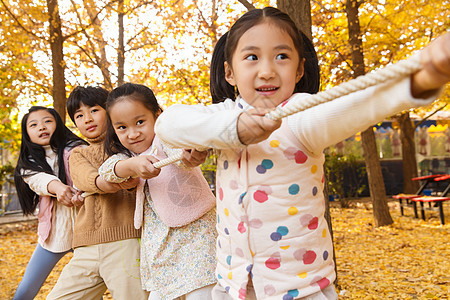 秋天树林中小学生在拔河比赛图片