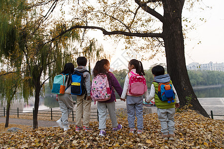 小学生在放学的路上高清图片