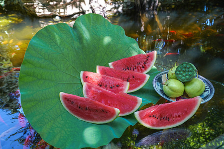 庭院池塘荷叶上的西瓜图片