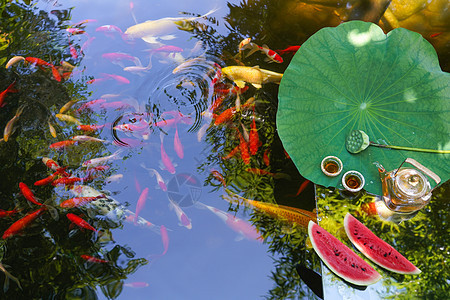 金鱼池塘上的荷叶茶具西瓜图片
