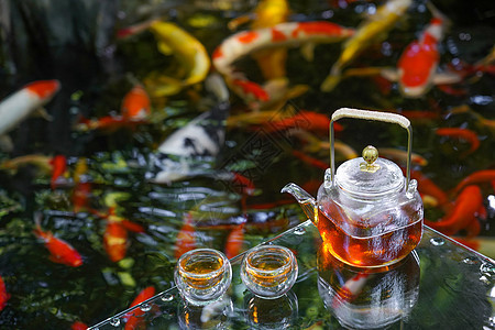 夏天池塘金鱼荷叶茶具图片