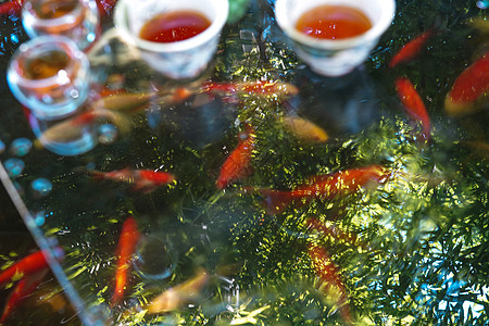 夏天池塘里的金鱼和水上的茶杯茶叶图片