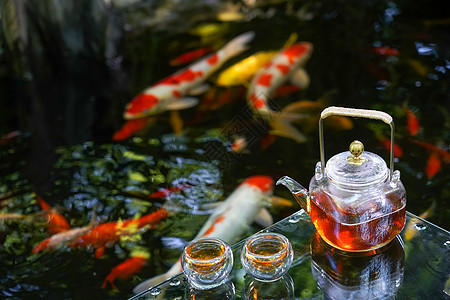 夏天池塘里的金鱼和水上的茶杯茶叶图片