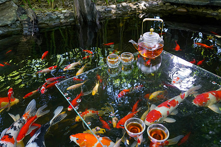 金鱼池塘和茶具图片