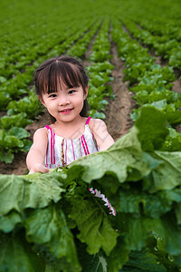 兴奋劳动高兴东方儿童采摘蔬菜图片