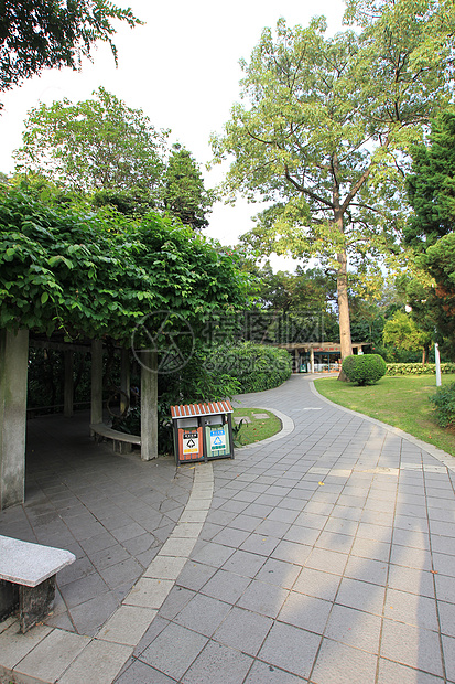 树当地著名景点植物广东省广州越秀公园图片