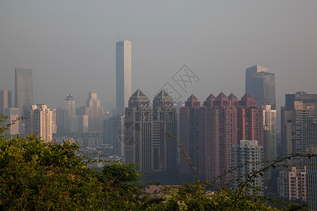 广东省深圳莲花山图片