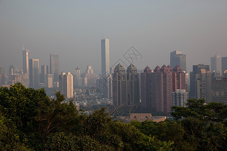 广东省深圳莲花山图片