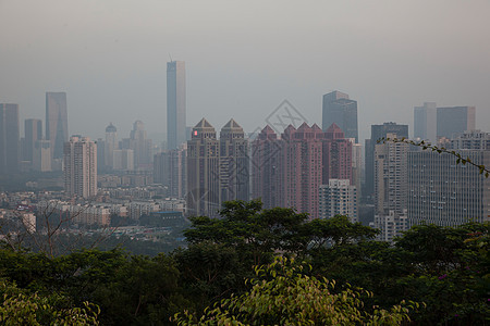 广东省深圳莲花山图片