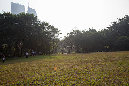 广东省深圳莲花山图片