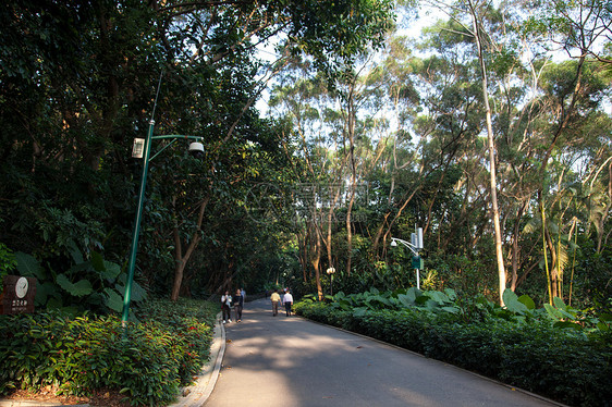 广东省深圳城市建筑图片