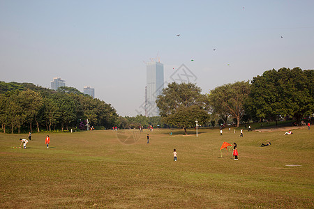 广东省深圳莲花山公园图片