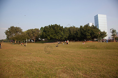 广东省深圳城市建筑图片