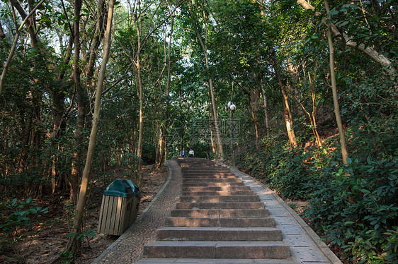 广东省深圳城市建筑图片