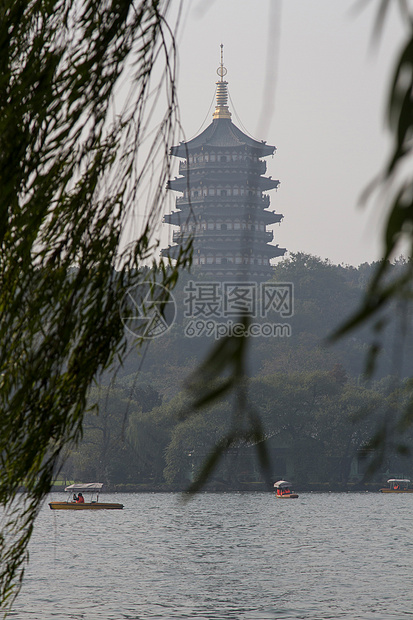 低视角行动树浙江省杭州西湖雷峰塔图片