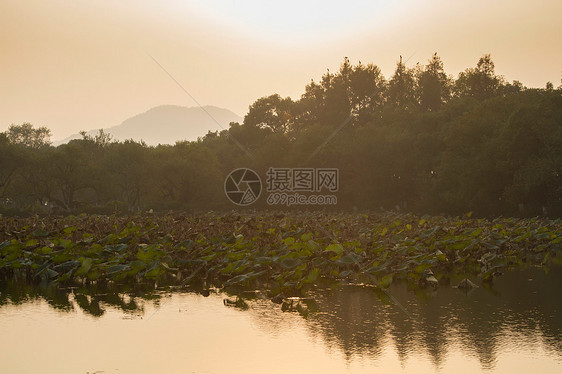 水户外东亚浙江省杭州西湖图片