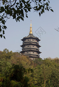 中国建筑雷峰塔日光树林风景浙江省杭州西湖雷峰塔背景