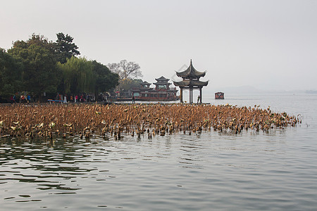 旅游目的地晚霞白昼浙江省杭州西湖图片