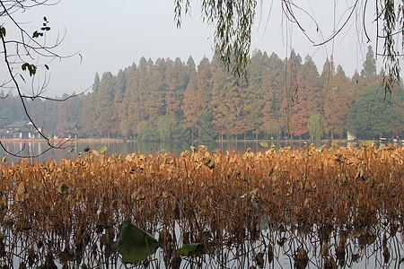国内著名景点彩色图片浙江省杭州西湖图片