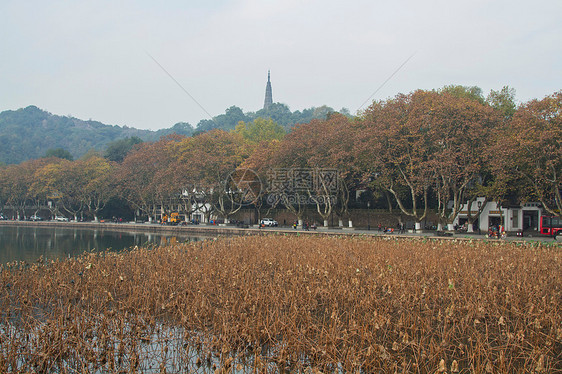 日落风景浙江省杭州西湖保叔塔图片